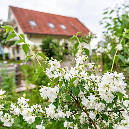 Beutenmuehle Straussenfarm Dach Owingen Kültér fotó