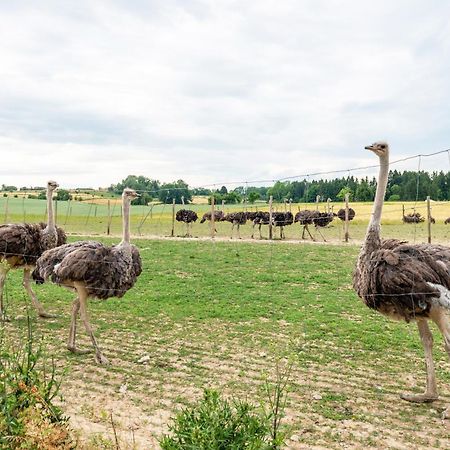 Beutenmuehle Straussenfarm Dach Owingen Kültér fotó