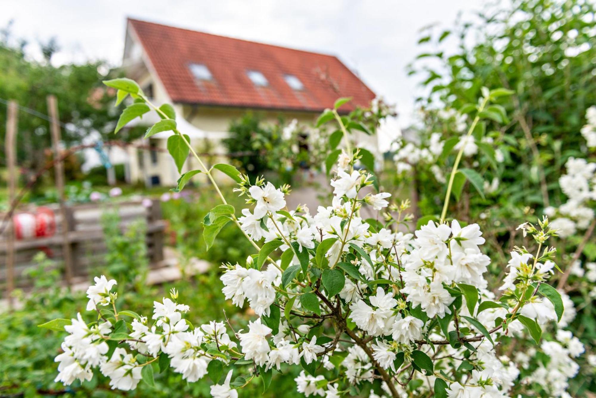 Beutenmuehle Straussenfarm Dach Owingen Kültér fotó
