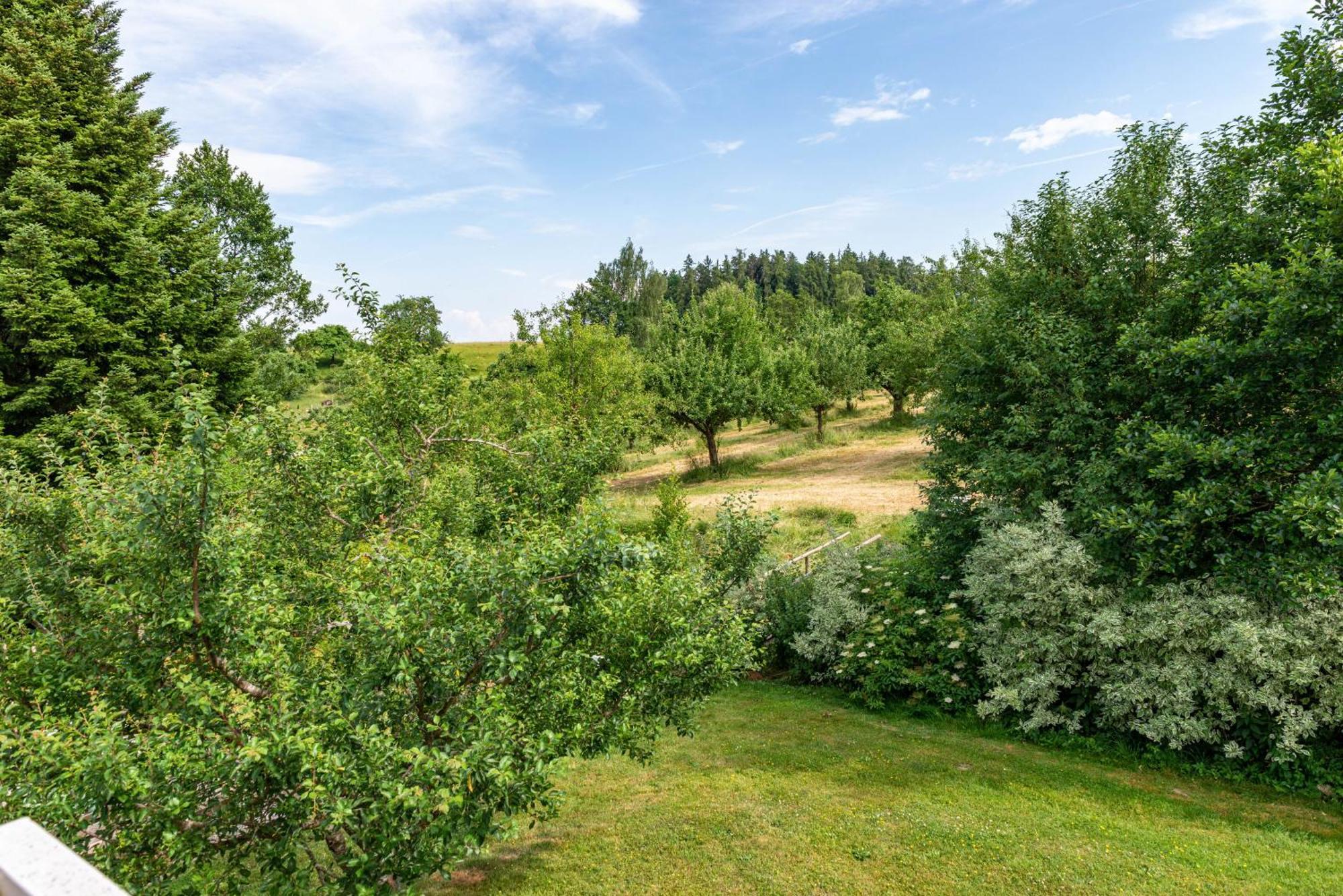 Beutenmuehle Straussenfarm Dach Owingen Kültér fotó